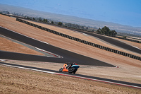 Advanced Group Orange Bikes